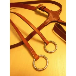Martingale à anneaux