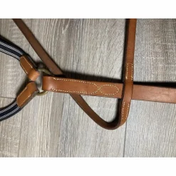 Martingale à anneaux