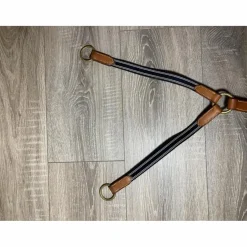 Martingale à anneaux