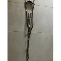 Martingale à anneaux Antarès