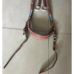 Martingale à anneaux Antarès