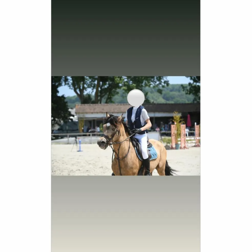 Martingale à anneaux Éric Thomas Pro