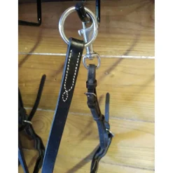 Martingale à anneaux taille cheval Fouganza
