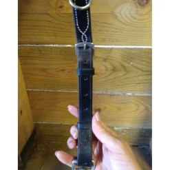 Martingale à anneaux taille cheval Fouganza