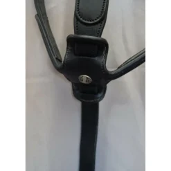 Martingale Bruno Delgrange Cheval Noir