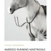 Martingale Amerigo neuve