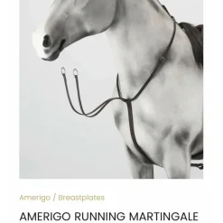Martingale Amerigo neuve