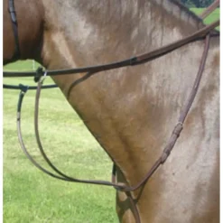 Martingale Amerigo neuve