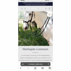 Martingale Antares