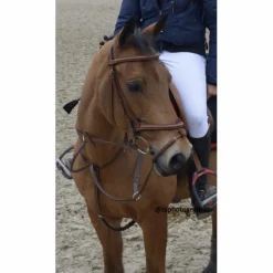Martingale Antares