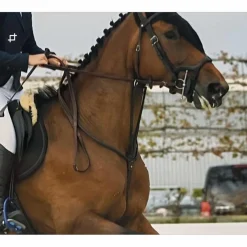 martingale antares