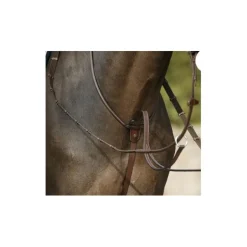 Martingale Antares taille 2