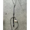 martingale canter