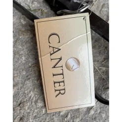 martingale canter