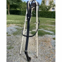 Martingale Canter noir