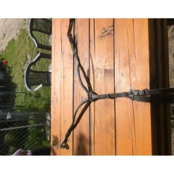 Martingale cheval