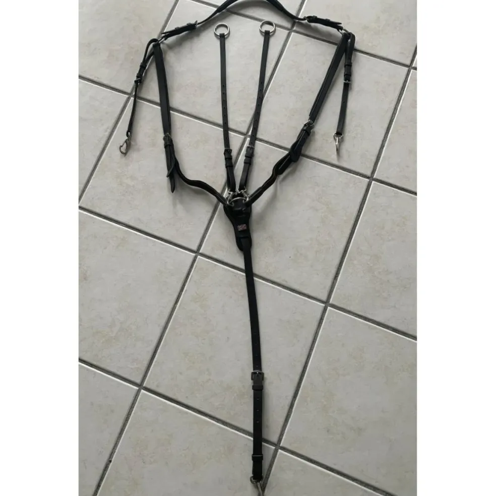 martingale collier de chasse