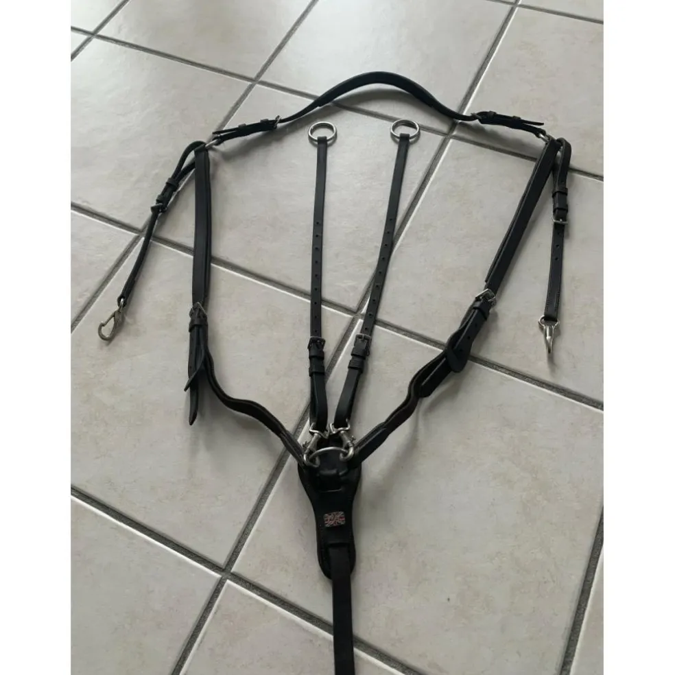 martingale collier de chasse