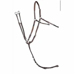 Martingale, collier de chasse cwd