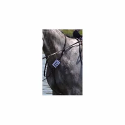 Martingale CWD