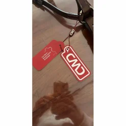 Martingale CWD