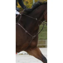 Martingale cwd