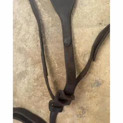 martingale cwd taille 3