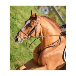 Martingale Devoucoux Hunter