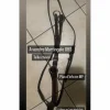 Martingale GBS