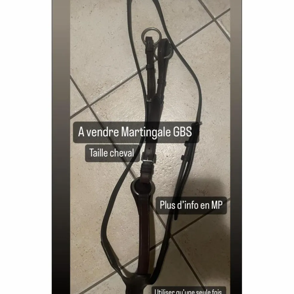 Martingale GBS