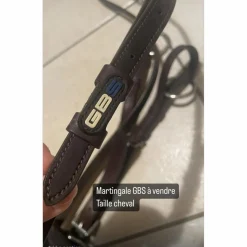 Martingale GBS