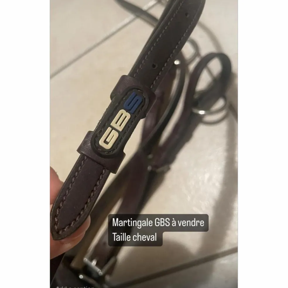 Martingale GBS