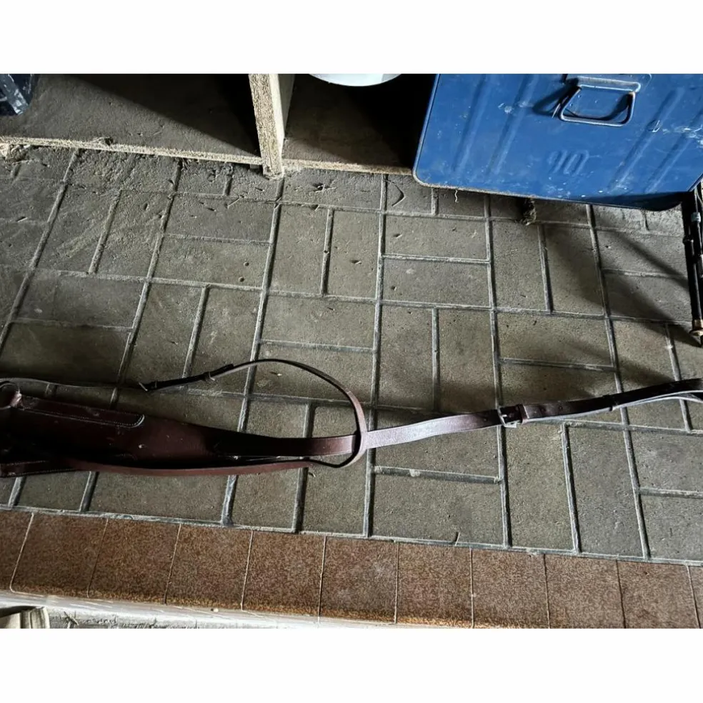 Martingale pleine