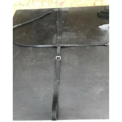 Martingale pleine