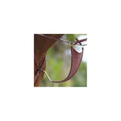Martingale pleine CWD