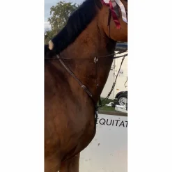 Martingale Pénélope