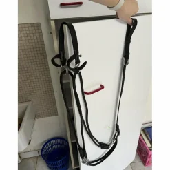Martingale poney avec rênes amovibles