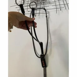 Martingale Équipe Neuve