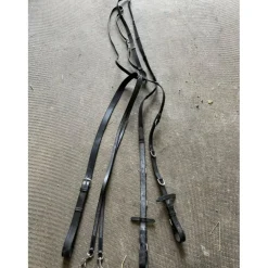 Martingale +rênes