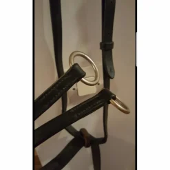 Martingale taille cheval
