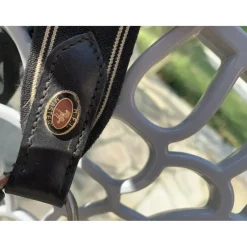 martingale taille cheval
