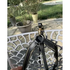 martingale taille cheval