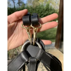 martingale taille cheval