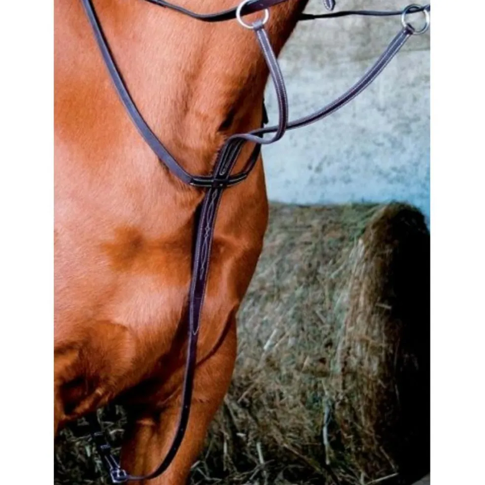 Martingale TdeT marron