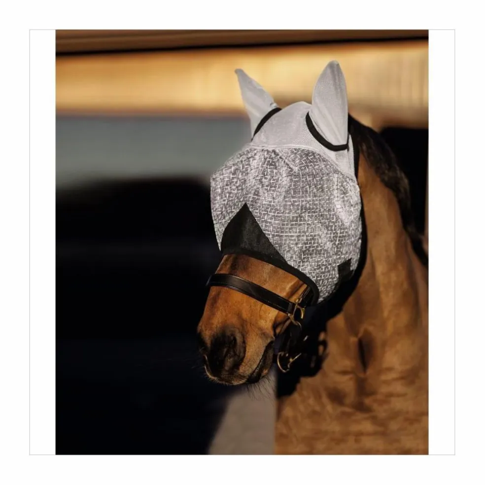 Masque anti-mouches