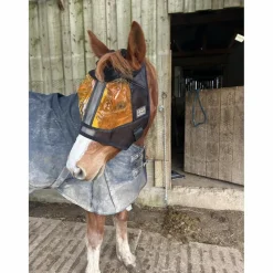 Masque REM X Xpert Équine