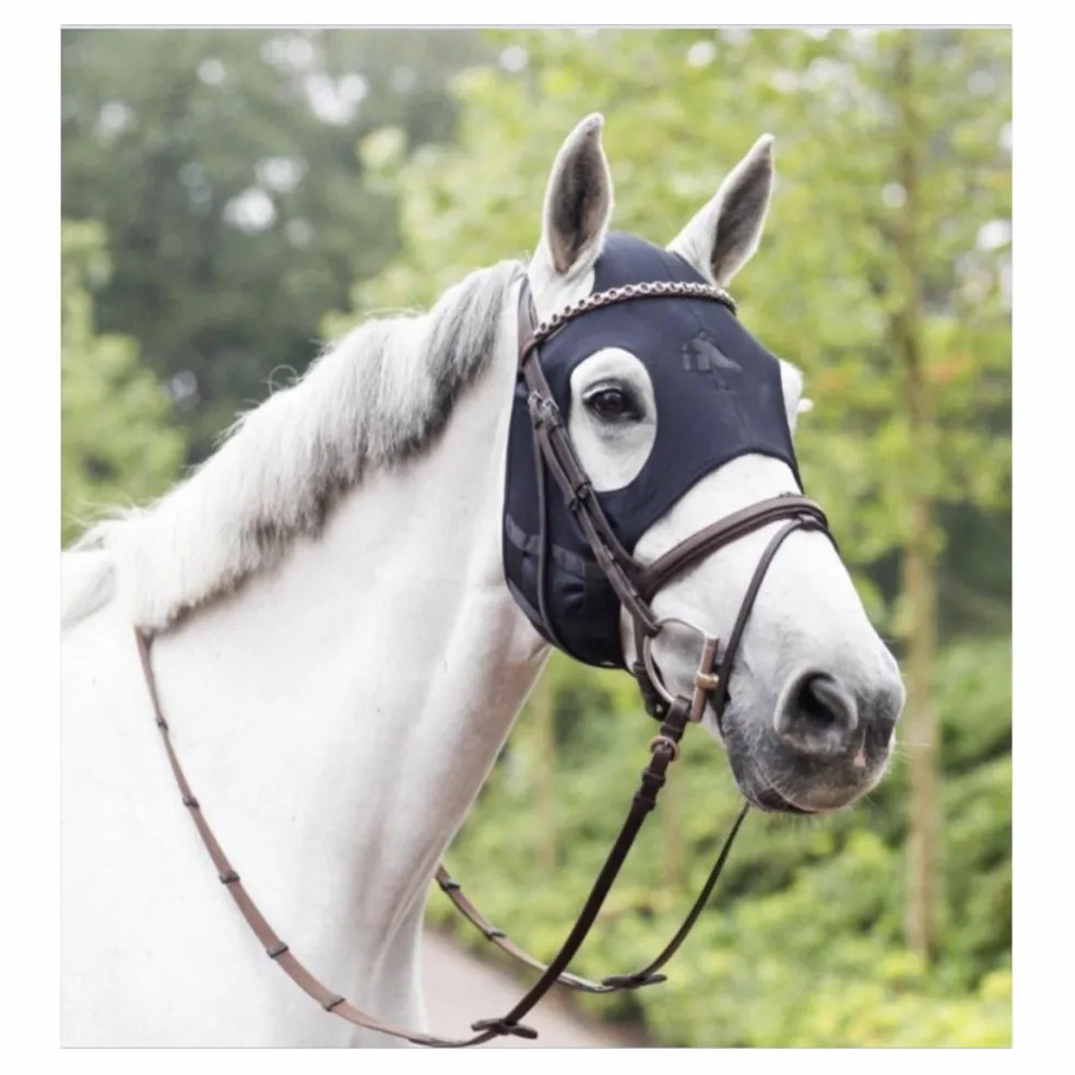 Masque titane Fenwick