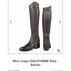 Mini chaps equithème Élite adulte