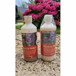 Muscle Magic Hilton Herbs