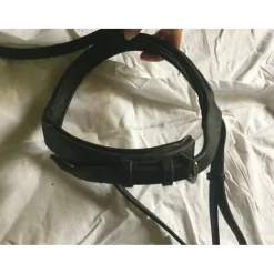 Muserolle Combiné cheval
